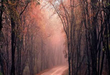 欧陆娱乐官网：渔民放置鱼笼捕获很多鱼，竟穿在鱼钩丢入海中，钓上来大石斑.