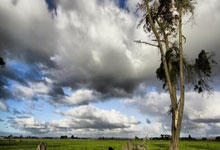 21世纪皇家社会在伯纳乌3次对皇马打进4球，仅次于巴萨.