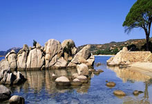 欧陆娱乐官网：乔-科尔：B费应该离开曼联，他独自扛着球队前进还天天被骂.